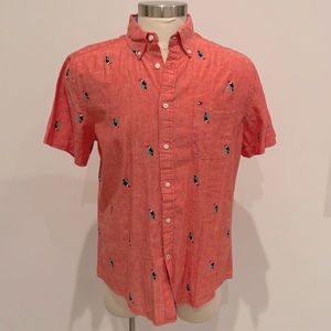 New!! Tommy Hilfiger shirt